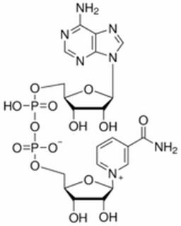 酶类