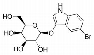 酶类