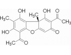 抗体素类