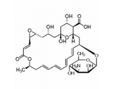 抗体素类