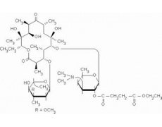 红霉素琥珀酸乙酯