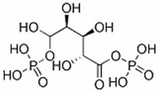 1,5-二磷酸-D-核酮糖