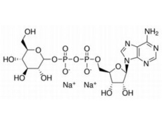 腺苷5'-二磷酸葡糖二钠