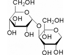 碳水化合物类