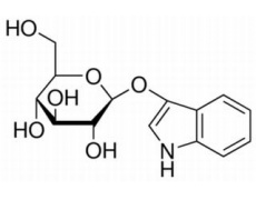 吲哚酚-β-葡糖苷