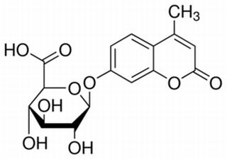 4-甲基伞花基-β-D-葡糖苷酸