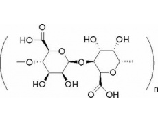 碳水化合物类