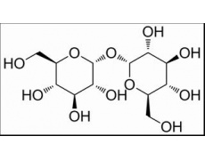 碳水化合物类