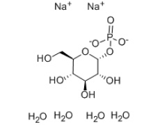 碳水化合物类
