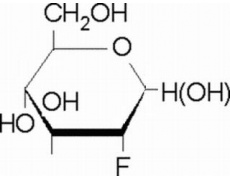 碳水化合物类