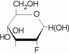2-脱氧-2-氟-D-葡萄糖