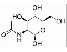 碳水化合物类