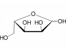 碳水化合物类