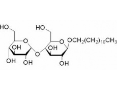 十二烷基-β-D-麦芽糖苷