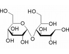 碳水化合物类