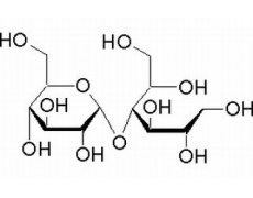 麦芽糖醇