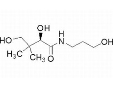 碳水化合物类
