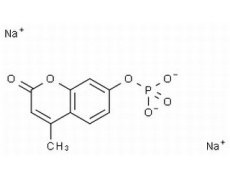 碳水化合物类