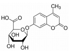 4-甲基伞形酮-D-葡萄糖醛酸苷