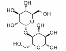 碳水化合物类