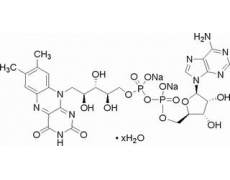 植物激素及核酸类