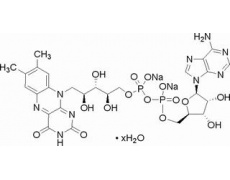 黄素腺嘌呤二核甙酸二钠