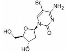 植物激素及核酸类