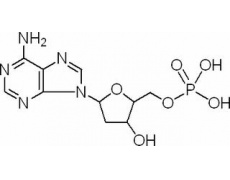 脱氧腺苷单磷酸