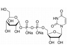 尿苷-5ˊ-二磷酸葡糖二钠盐