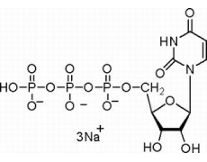 尿苷-5′-三磷酸三钠盐
