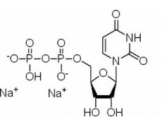 尿苷-5′-二磷酸二钠盐