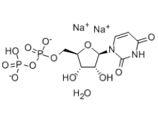 尿苷-5′-二磷酸