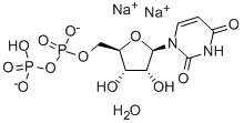 尿苷-5′-二磷酸