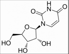 植物激素及核酸类