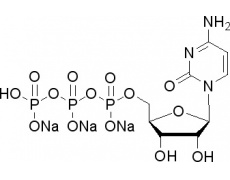 5-胞嘧啶核苷三磷酸三钠盐