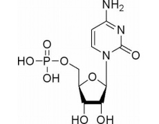 5′- 胞苷酸