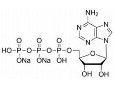 5-三磷酸腺苷二钠盐