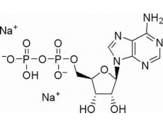 5-二磷酸腺苷二钠盐