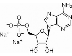 腺苷-5′-单磷酸二钠