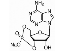 植物激素及核酸类