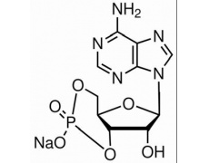 环腺苷酸钠