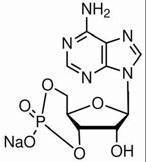 环腺苷酸钠