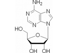 植物激素及核酸类
