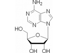 腺嘌呤核苷