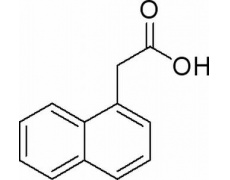植物激素及核酸类