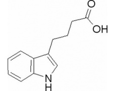 植物激素及核酸类