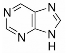 植物激素及核酸类