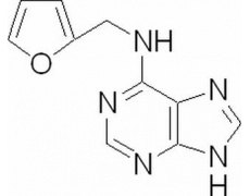 植物激素及核酸类