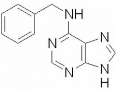植物激素及核酸类