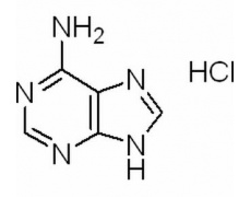 植物激素及核酸类